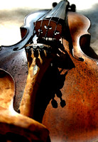 Bluegrass fiddle